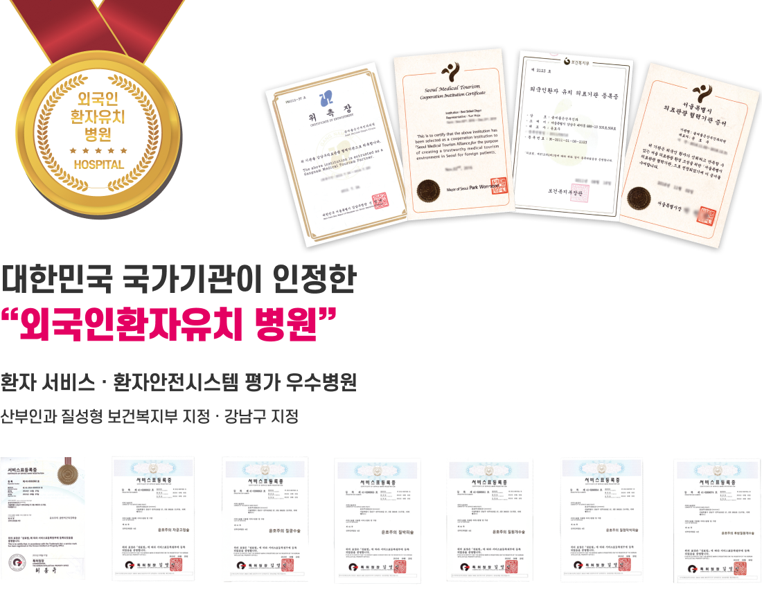 대한민국 국가기관 인정 외국인환자유치 병원 및 특허 등록 현황 — 솜씨좋은산부인과의원